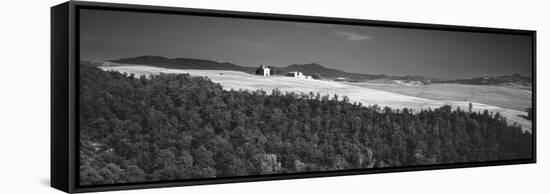 Trees on a Hill, Tuscany, Italy-null-Framed Stretched Canvas