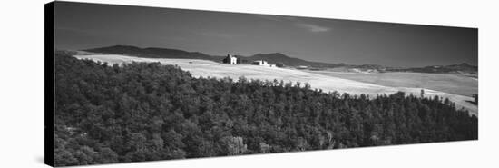 Trees on a Hill, Tuscany, Italy-null-Stretched Canvas