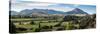 Trees on a landscape, Riverrun Lodge, Luggate, Queenstown-Lakes District, Otago Region, South Is...-null-Stretched Canvas