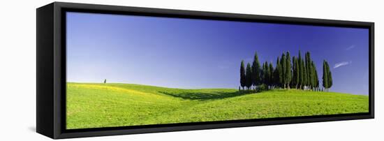 Trees on a Landscape, Val D'Orcia, Siena Province, Tuscany, Italy-null-Framed Stretched Canvas