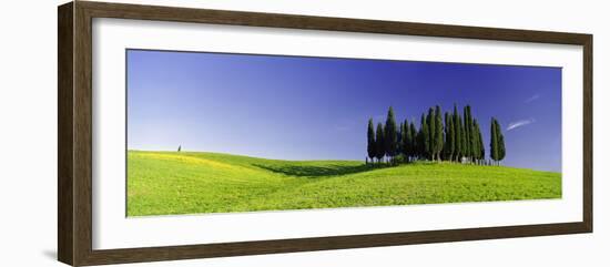 Trees on a Landscape, Val D'Orcia, Siena Province, Tuscany, Italy-null-Framed Photographic Print