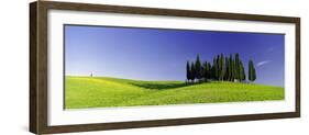 Trees on a Landscape, Val D'Orcia, Siena Province, Tuscany, Italy-null-Framed Photographic Print