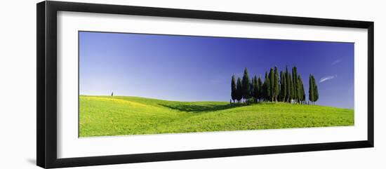 Trees on a Landscape, Val D'Orcia, Siena Province, Tuscany, Italy-null-Framed Photographic Print