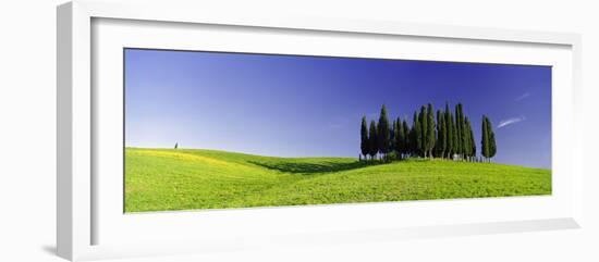 Trees on a Landscape, Val D'Orcia, Siena Province, Tuscany, Italy-null-Framed Photographic Print