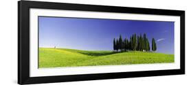 Trees on a Landscape, Val D'Orcia, Siena Province, Tuscany, Italy-null-Framed Photographic Print