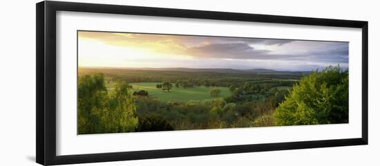 Trees on a Landscape Viewed from Duncton Hill, South Downs National Park, West Sussex, England-null-Framed Photographic Print
