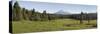 Trees on a Landscape with a Mountain in the Background, Mt Mcloughlin, Oregon, USA-null-Stretched Canvas