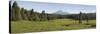 Trees on a Landscape with a Mountain in the Background, Mt Mcloughlin, Oregon, USA-null-Stretched Canvas