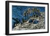 Trees on a Mountain Slope-Ernst Ludwig Kirchner-Framed Giclee Print