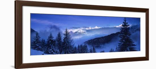 Trees on a Polar Landscape, Simplon Pass, Switzerland-null-Framed Photographic Print