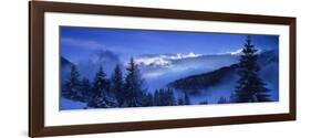 Trees on a Polar Landscape, Simplon Pass, Switzerland-null-Framed Photographic Print