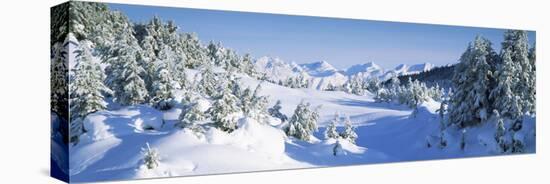 Trees on a Snow Covered Landscape, Chugach Mountains, Alaska, USA-null-Stretched Canvas