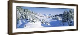 Trees on a Snow Covered Landscape, Chugach Mountains, Alaska, USA-null-Framed Photographic Print