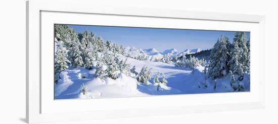 Trees on a Snow Covered Landscape, Chugach Mountains, Alaska, USA-null-Framed Photographic Print