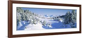 Trees on a Snow Covered Landscape, Chugach Mountains, Alaska, USA-null-Framed Photographic Print