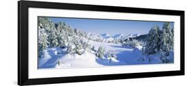 Trees on a Snow Covered Landscape, Chugach Mountains, Alaska, USA-null-Framed Photographic Print