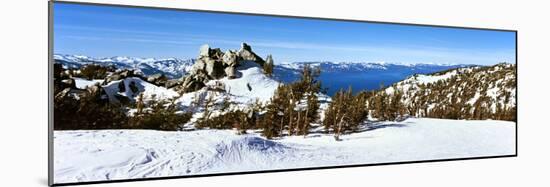 Trees on a Snow Covered Landscape, Heavenly Mountain Resort, Lake Tahoe-null-Mounted Photographic Print