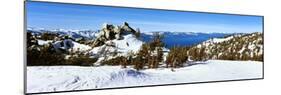 Trees on a Snow Covered Landscape, Heavenly Mountain Resort, Lake Tahoe-null-Mounted Photographic Print