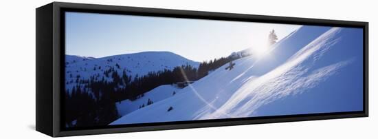 Trees on a Snow Covered Landscape, Kitzbuhel, Westendorf, Tirol, Austria-null-Framed Stretched Canvas