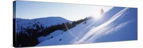 Trees on a Snow Covered Landscape, Kitzbuhel, Westendorf, Tirol, Austria-null-Stretched Canvas