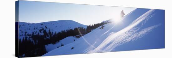 Trees on a Snow Covered Landscape, Kitzbuhel, Westendorf, Tirol, Austria-null-Stretched Canvas