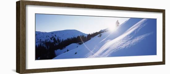 Trees on a Snow Covered Landscape, Kitzbuhel, Westendorf, Tirol, Austria-null-Framed Photographic Print