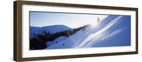 Trees on a Snow Covered Landscape, Kitzbuhel, Westendorf, Tirol, Austria-null-Framed Photographic Print