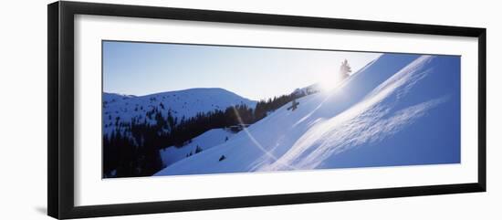 Trees on a Snow Covered Landscape, Kitzbuhel, Westendorf, Tirol, Austria-null-Framed Photographic Print