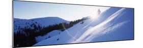 Trees on a Snow Covered Landscape, Kitzbuhel, Westendorf, Tirol, Austria-null-Mounted Photographic Print