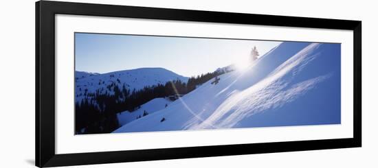 Trees on a Snow Covered Landscape, Kitzbuhel, Westendorf, Tirol, Austria-null-Framed Photographic Print