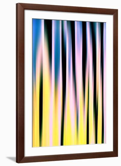 Trees on a Sunny Day-Ursula Abresch-Framed Photographic Print