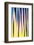 Trees on a Sunny Day-Ursula Abresch-Framed Photographic Print