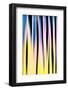 Trees on a Sunny Day-Ursula Abresch-Framed Photographic Print