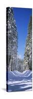 Trees on Both Sides of a Snow Covered Road, Crane Flat, Yosemite National Park, California, USA-null-Stretched Canvas
