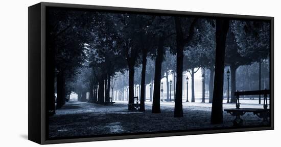 Trees on both sides of a walkway, Champs Elysees, Paris, France-null-Framed Stretched Canvas