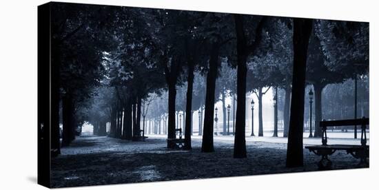 Trees on both sides of a walkway, Champs Elysees, Paris, France-null-Stretched Canvas