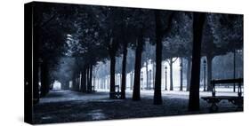 Trees on both sides of a walkway, Champs Elysees, Paris, France-null-Stretched Canvas