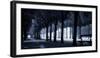 Trees on both sides of a walkway, Champs Elysees, Paris, France-null-Framed Photographic Print