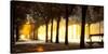 Trees on both sides of a walkway, Champs Elysees, Paris, France-null-Stretched Canvas