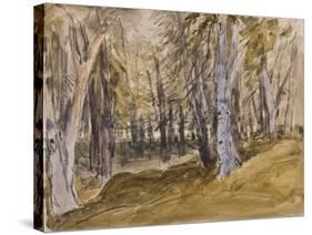 Trees on Box Hill-David Cox-Stretched Canvas