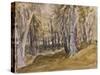 Trees on Box Hill-David Cox-Stretched Canvas