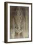 Trees on Brown Panel II-Kate Bennett-Framed Art Print