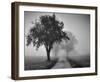 Trees on County Road-null-Framed Art Print