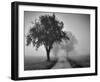 Trees on County Road-null-Framed Art Print