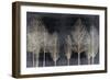 Trees on Dark Gray-Kate Bennett-Framed Art Print