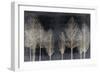 Trees on Dark Gray-Kate Bennett-Framed Art Print