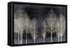 Trees on Dark Gray-Kate Bennett-Framed Stretched Canvas