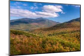 Trees on Giant Mountain From Owls Head, Adirondack Mountains State Park, New York State, USA-null-Mounted Photographic Print