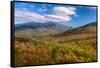 Trees on Giant Mountain From Owls Head, Adirondack Mountains State Park, New York State, USA-null-Framed Stretched Canvas