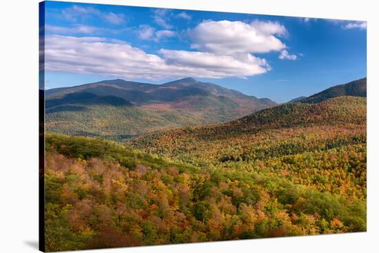 Trees on Giant Mountain From Owls Head, Adirondack Mountains State Park, New York State, USA-null-Stretched Canvas